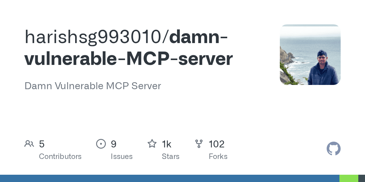 damn-vulnerable-MCP-server